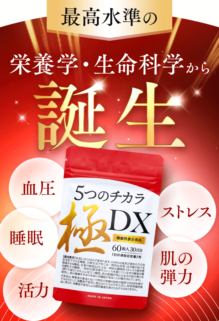 NHK出演 