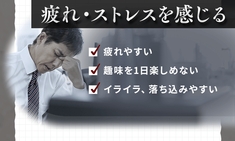 科学的根拠にもとづく5つの機能