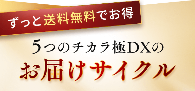 ずっと送料無料でお得5つのチカラ極DXのお届けサイクル