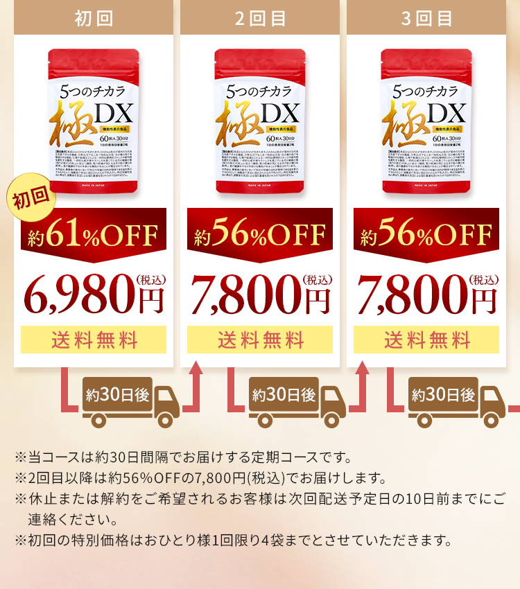 初回約61%6,980円（税込）送料無料