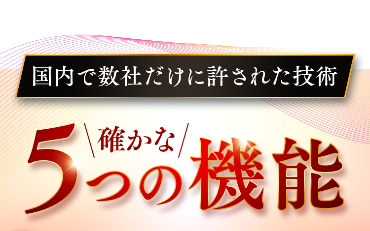 国内で数社だけに許された技術確かな5つの機能