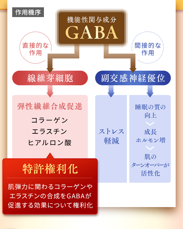 機能性関与成分GABA