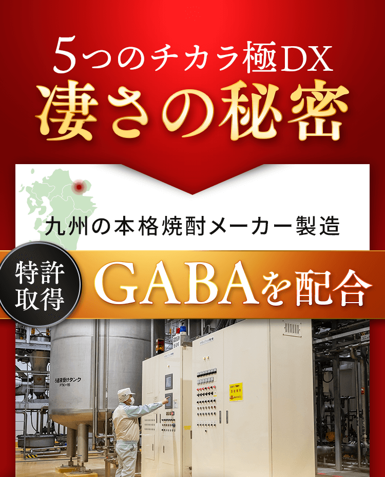 5つのチカラ極DX凄さの秘密