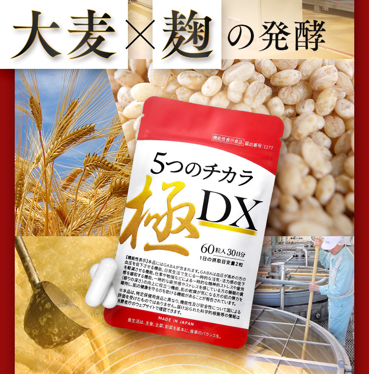大麦×麹の発酵