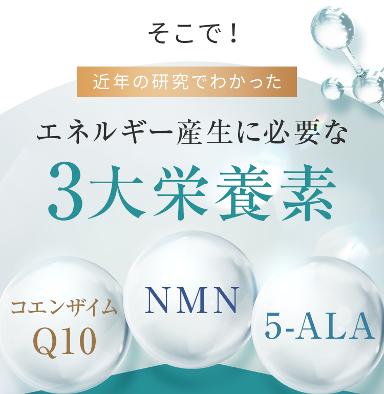 エネルギー産生に必要な3大栄養素