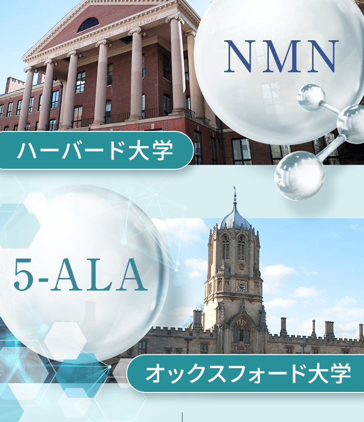 NMN、5-ALA