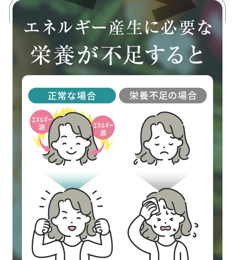 エネルギー産生に必要な栄養が不足すると