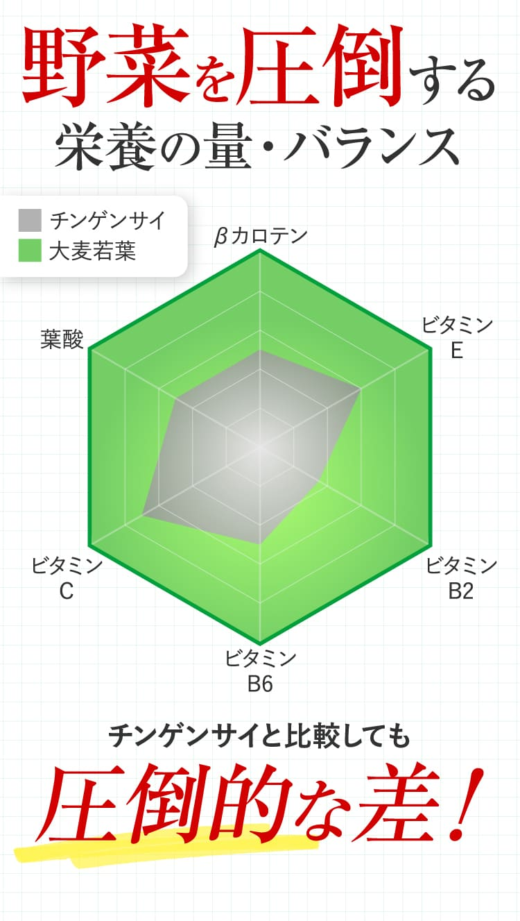 野菜を圧倒する栄養の量・バランス