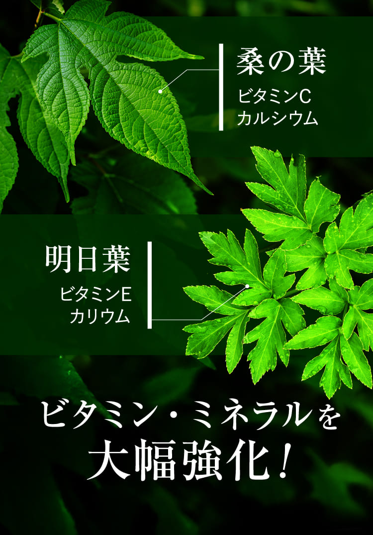 ビタミン・ミネラルを大幅強化！