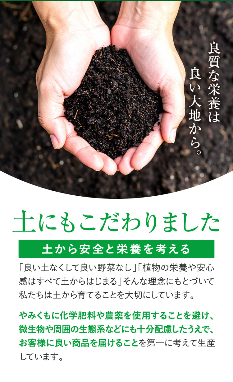 土にもこだわりました