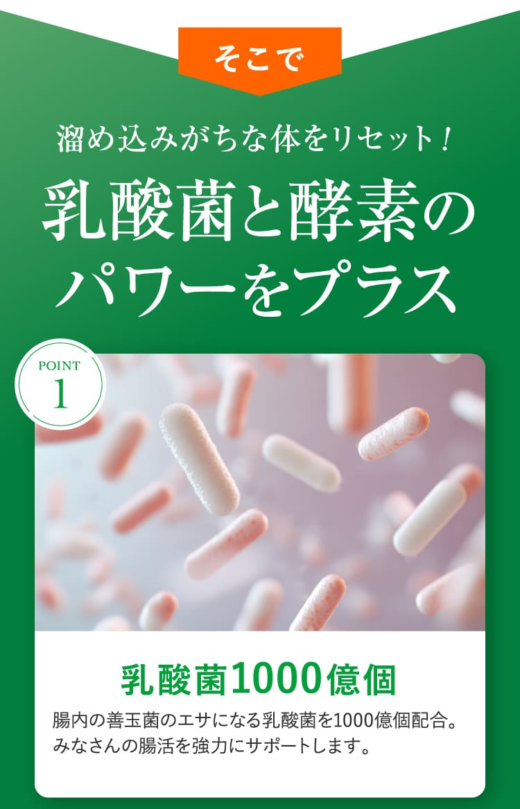乳酸菌と酵素のパワーをプラス