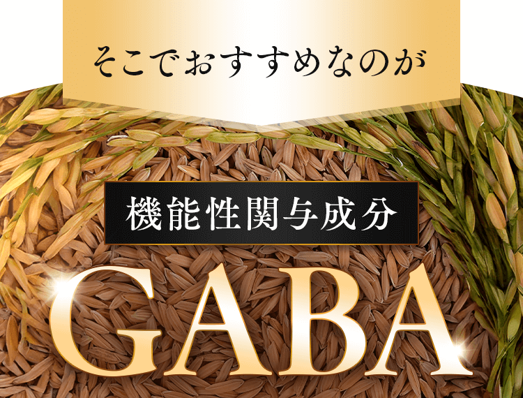 機能性関与成分GABA