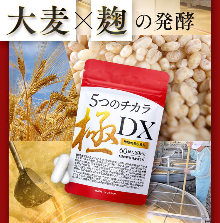 大麦×麹の発酵