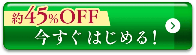 一番お得にはじめる！