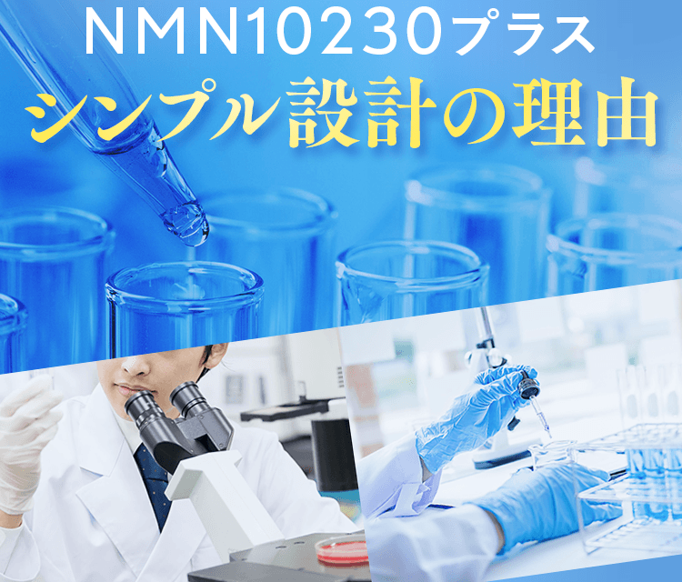 NMN10230プラスシンプル設定の理由