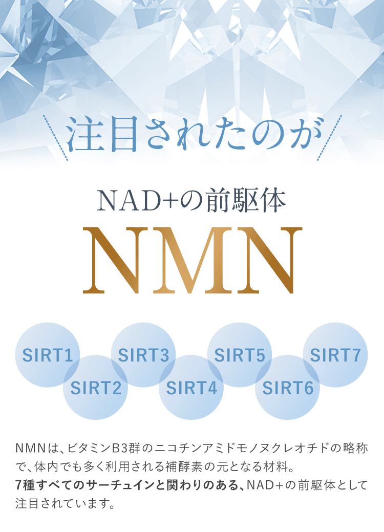 そこで注目されたのが、NAD+の前駆体NMNです。NMNはビタミンB3群のニコチンアミドモノヌクレオチドの略称で、体内に多く利用される補酵素。7種類あるすべてのサーチュイン（長寿遺伝子）を活性化するNAD+の前駆体として注目されています。
