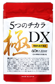 ５つのチカラ極 DX