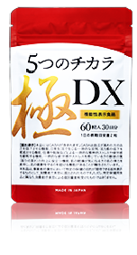 5つのチカラ極 DX